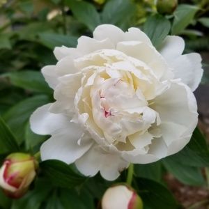 Meet your Posher, Kara